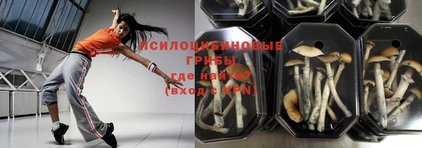 МДПВ Абинск