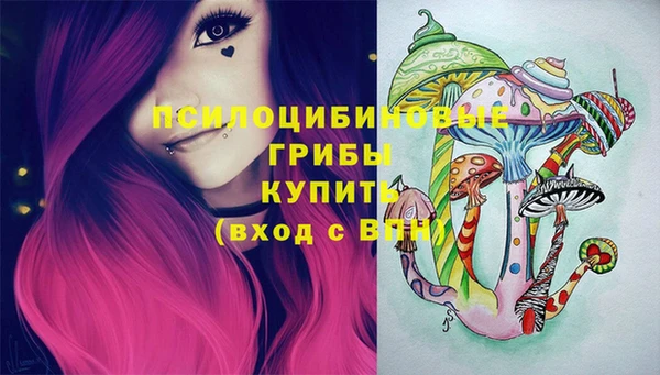 стафф Абаза