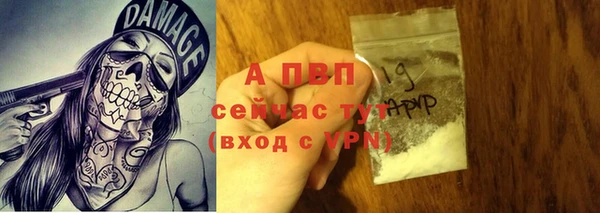 стафф Абаза